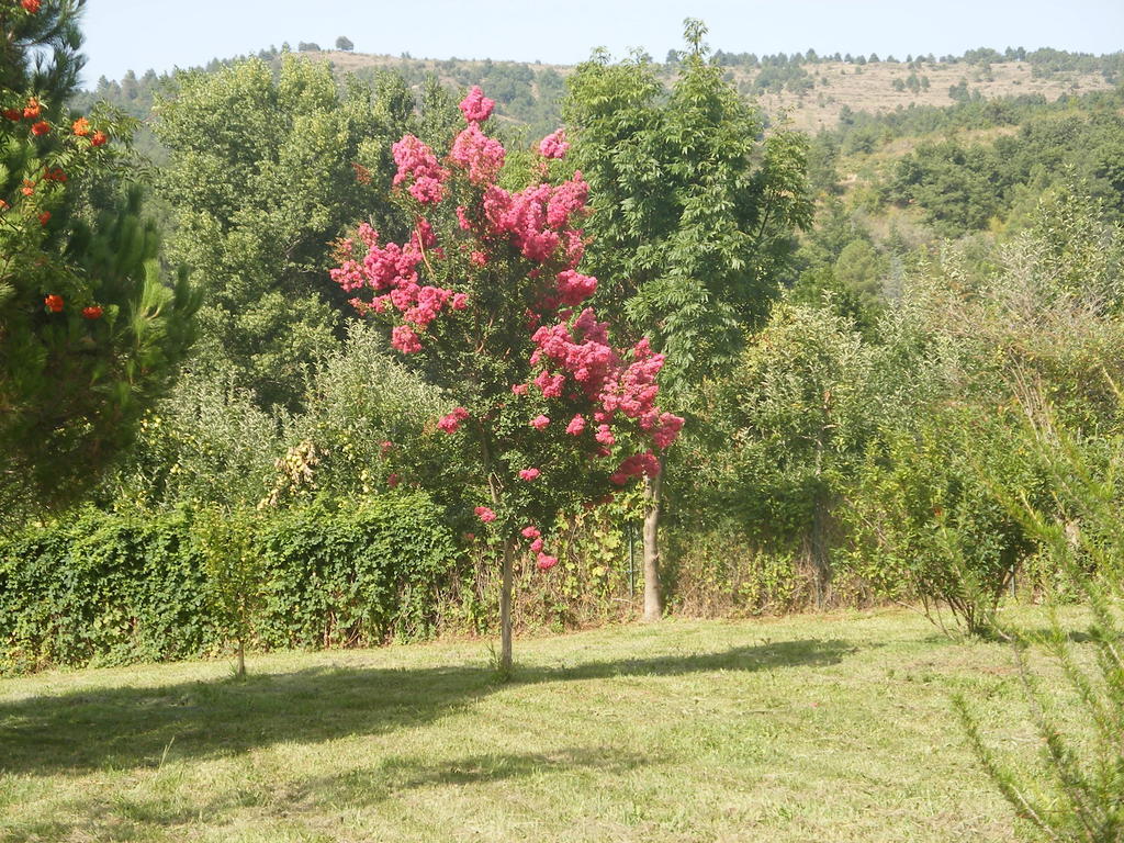 Hébergement de vacances Petite Maison De Village *